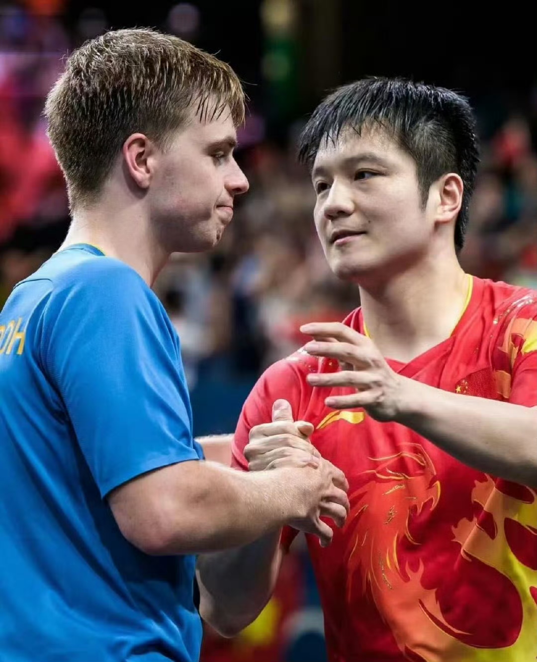 瑞典队横扫葡萄牙队,樊振东点燃赛场 瑞典队横扫葡萄牙队,樊振东点燃赛场