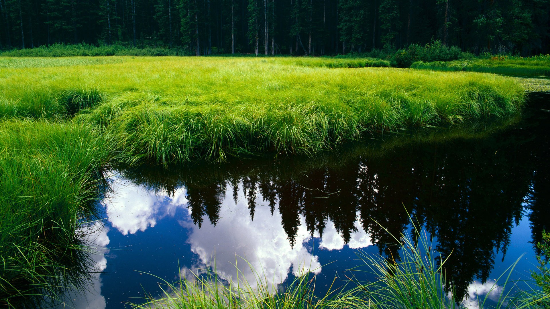 终场哨响，谁人知是皮克来？论英格兰如何用末节哲学与一次意外换人，让土耳其饮恨绿茵