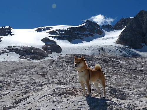 开云平台-时空熔炉，当布鲁克林篮网在虚拟战场遭遇新疆飞虎，莫兰特如何撕裂次元壁？