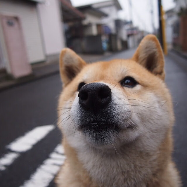 开云体育APP下载-全境焦点,当高压聚光灯下诞生真正的突围者