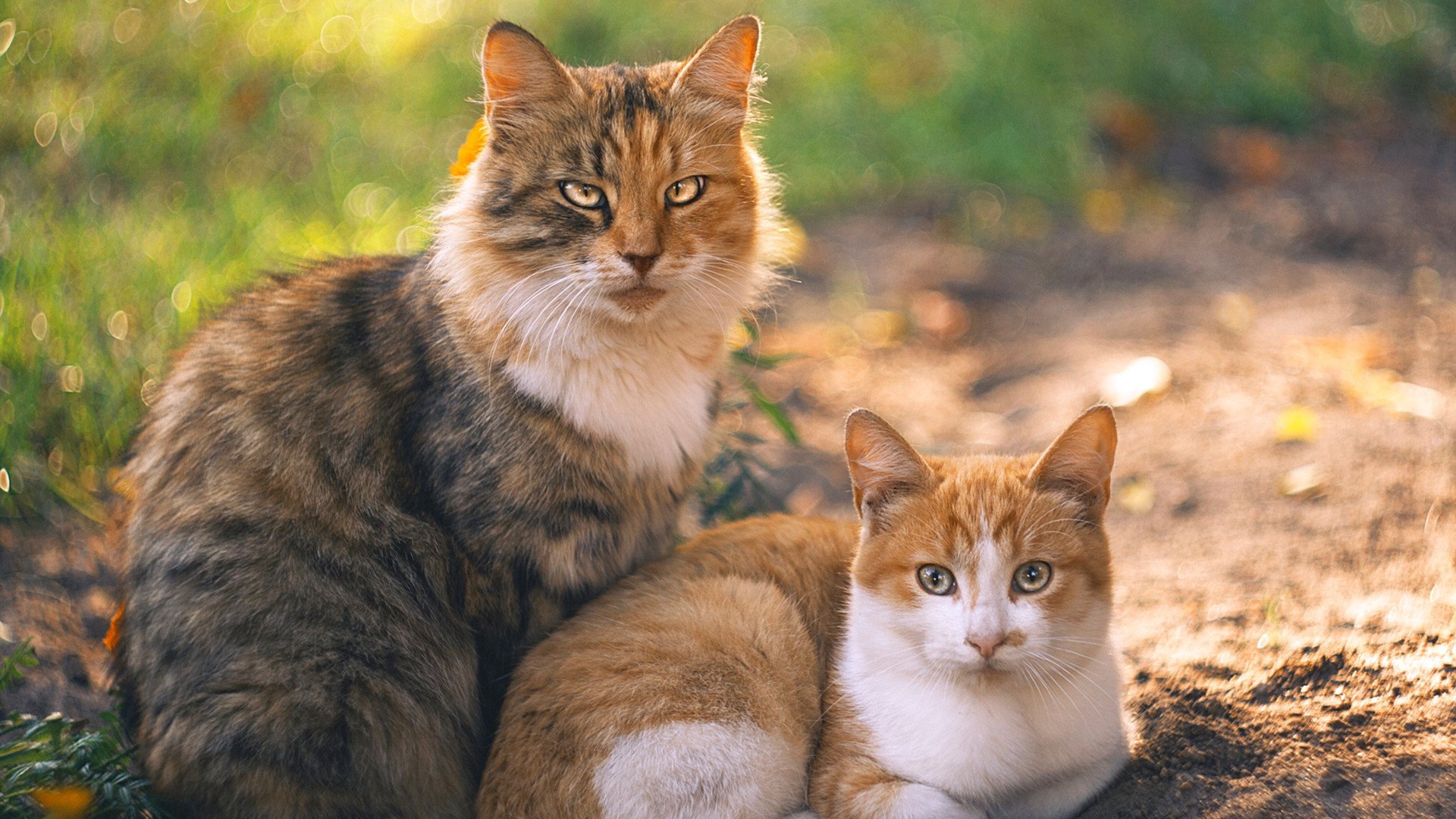 开云平台-从无人问津到制胜英雄,替补马里如何用11分钟征服伯纳乌