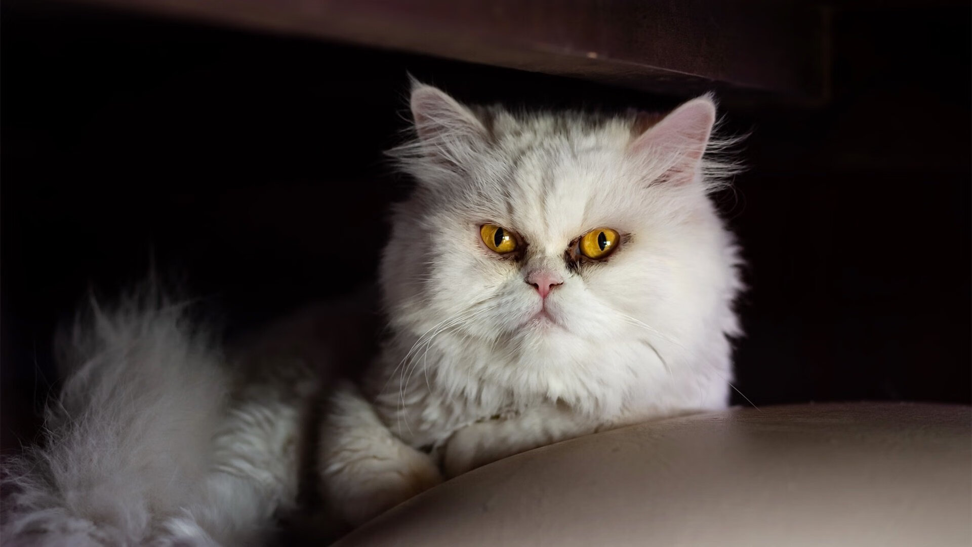 开云体育入口-跨界点燃，当魔人布欧闯入西决生死夜