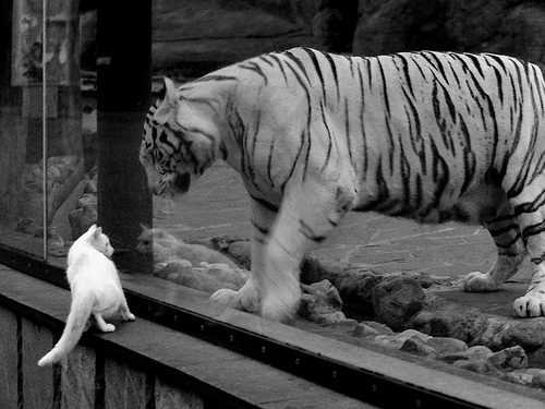 加纳用进球写就终章,斯通斯演绎防守艺术的终极教科书