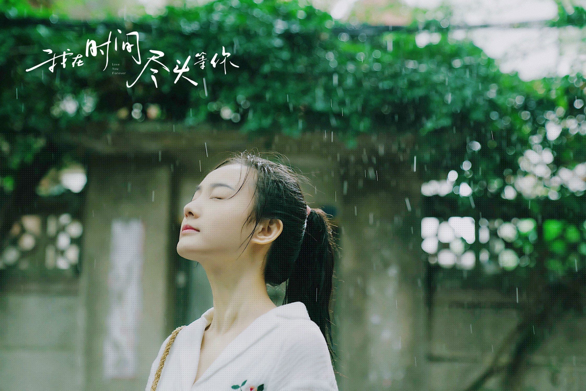 开云体育官网-当手术刀切开乱麻,范弗利特的拆解艺术与骑士的沉稳胜利