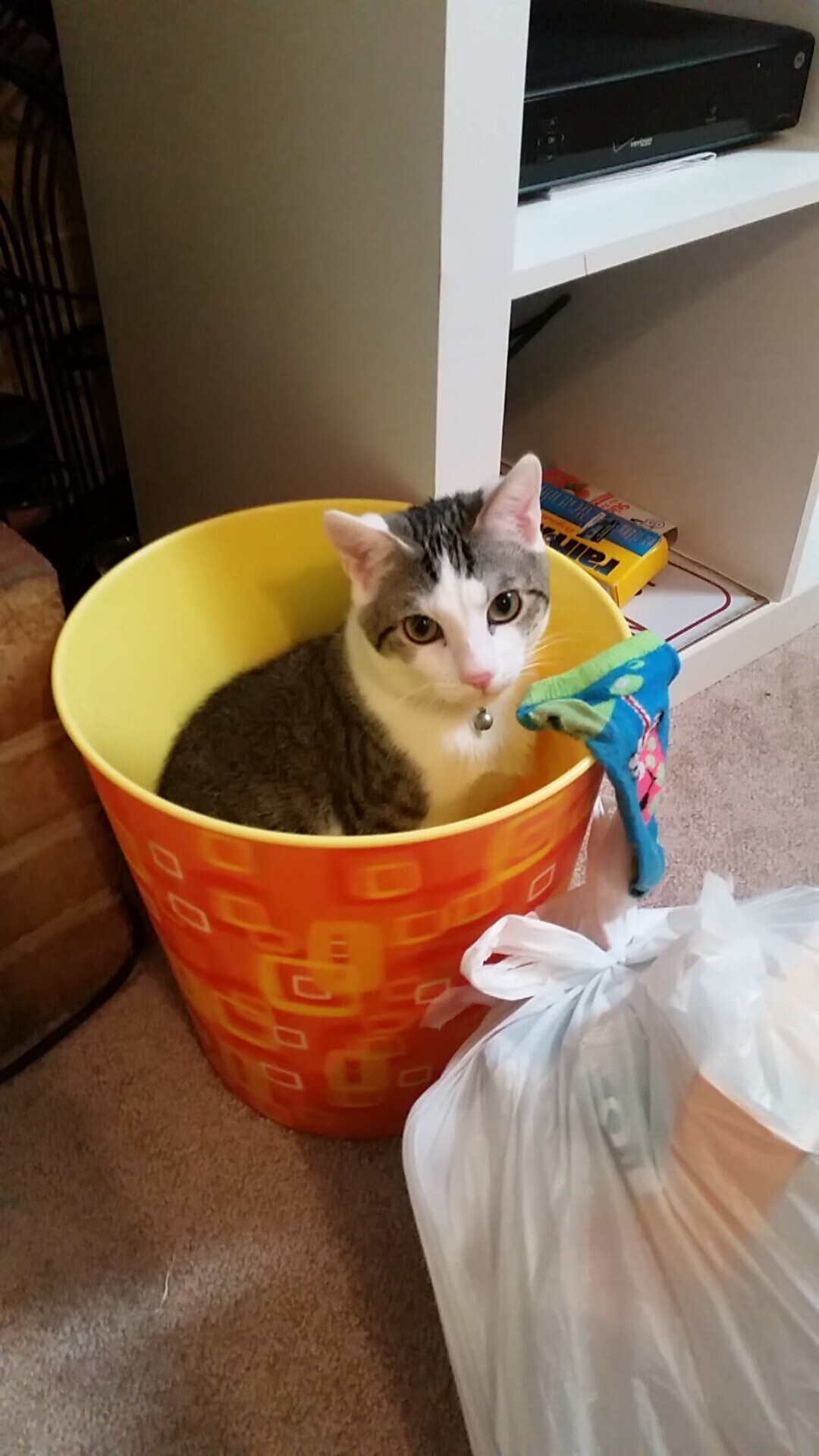 开云体育在线-欧冠半决赛之夜,当19岁的拉梅洛用一脚世界波,照亮了尘封25年的传奇之名