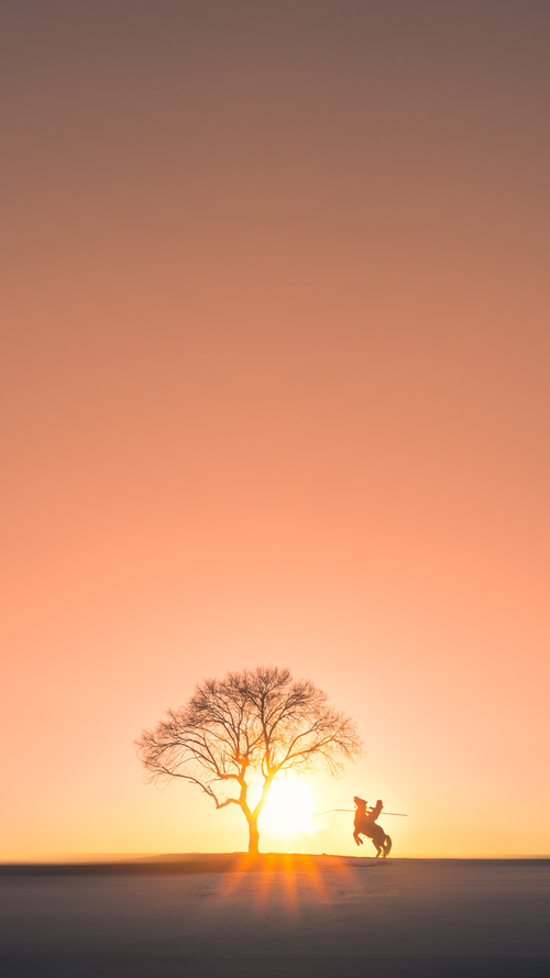 开云平台-虚拟对决,当上海队连续得分压制快船,东契奇为何仍是终极胜负手?