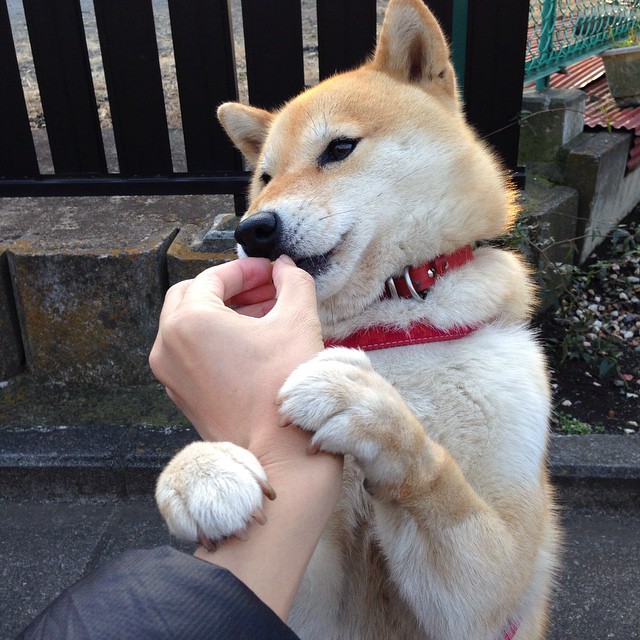 只有一次呼吸的距离，阿尔瓦雷斯在奥运关键战中接管比赛，成就西班牙压哨传奇