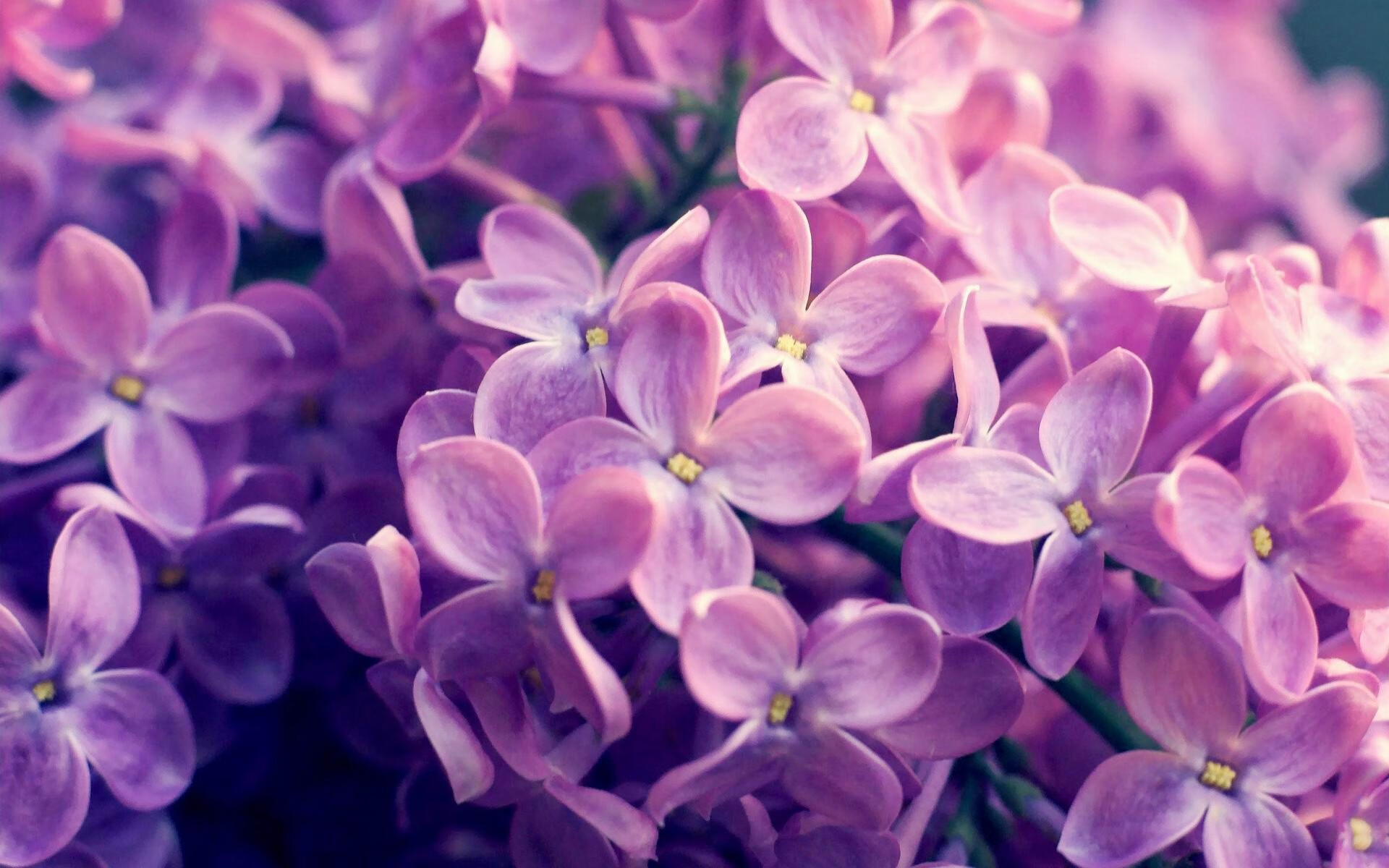 开云体育-双线震撼，英超天王山对决与土耳其的足球逆袭