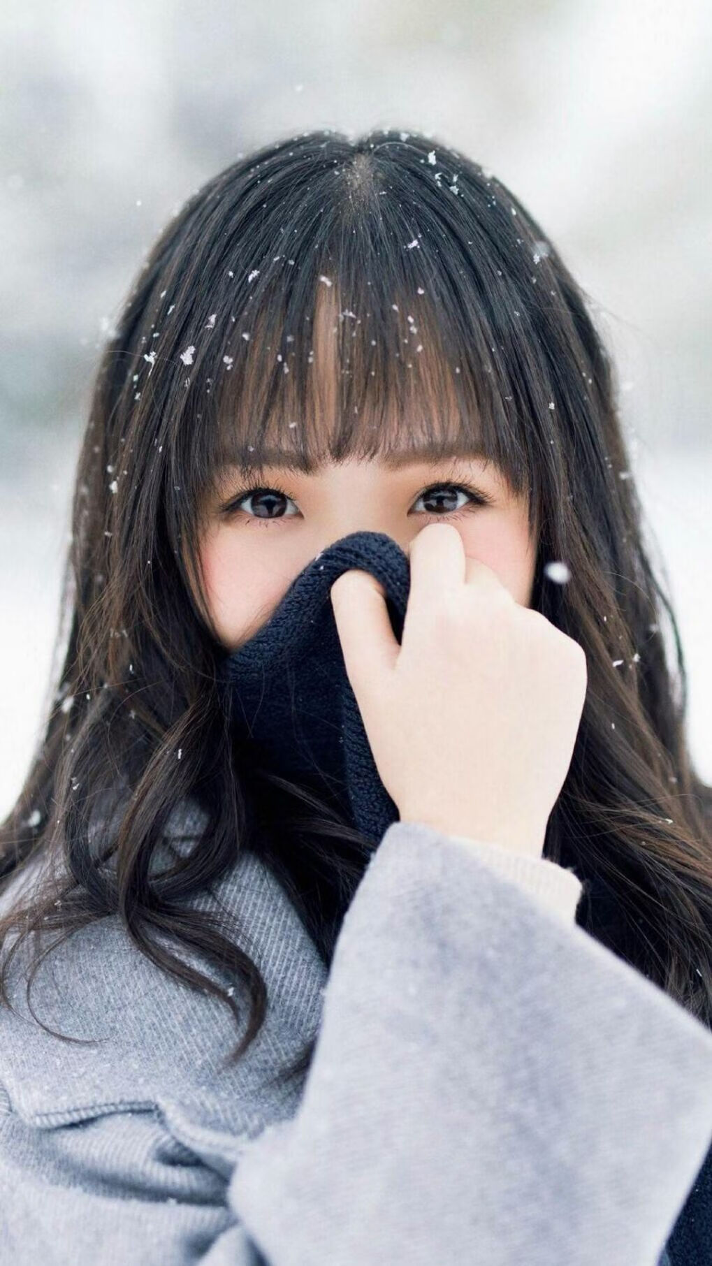 开云下载-黄蜂对阵北京队，当钢与棉的交锋撕裂真空—解读福格斯何以成为硬仗之王的终极密码