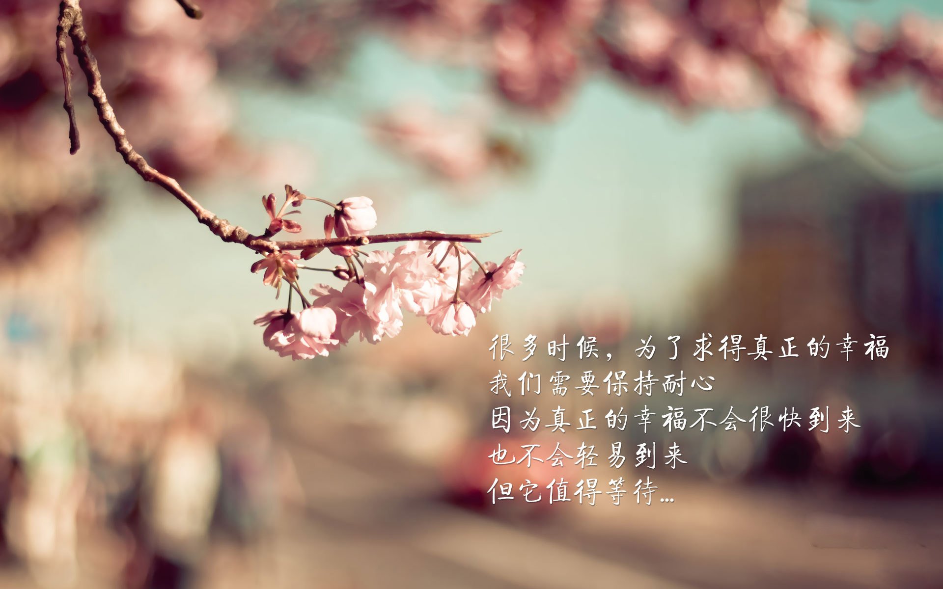开云体育在线-绿茵地缘政治，当C罗的进球击溃乌克兰防线