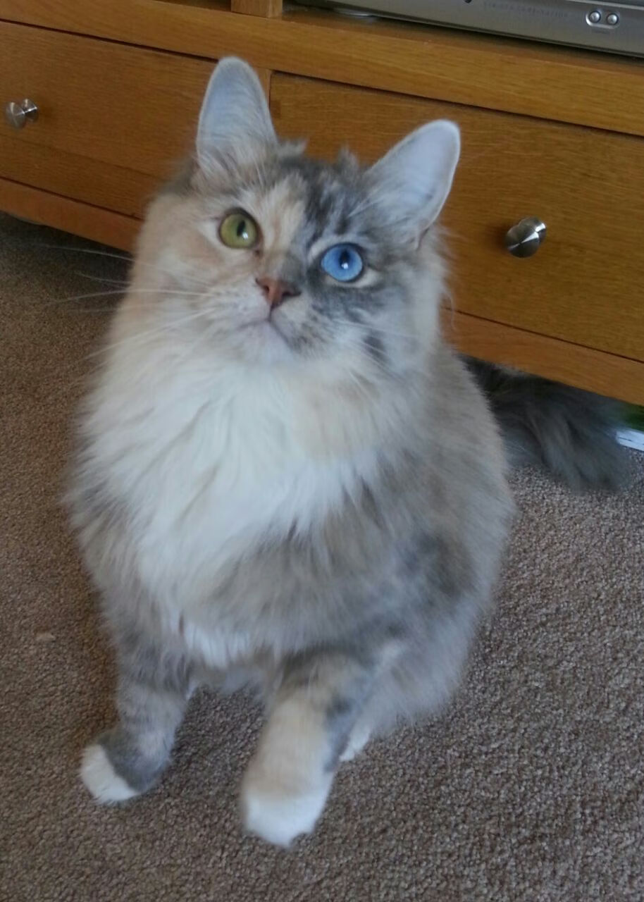开云体育入口-压制与超越，从灰熊强压北京队看库里的唯一性法则