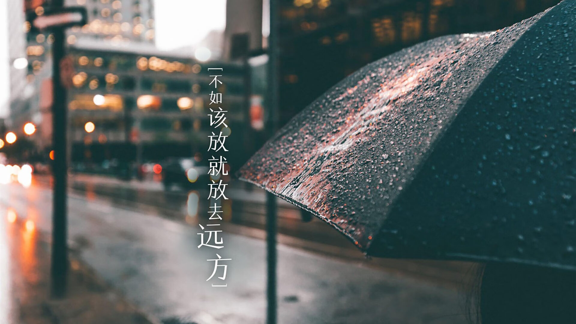 开云平台-蓝衣军团的绝境突围，B费一剑封喉，意大利在匈牙利狂潮中捍卫荣耀