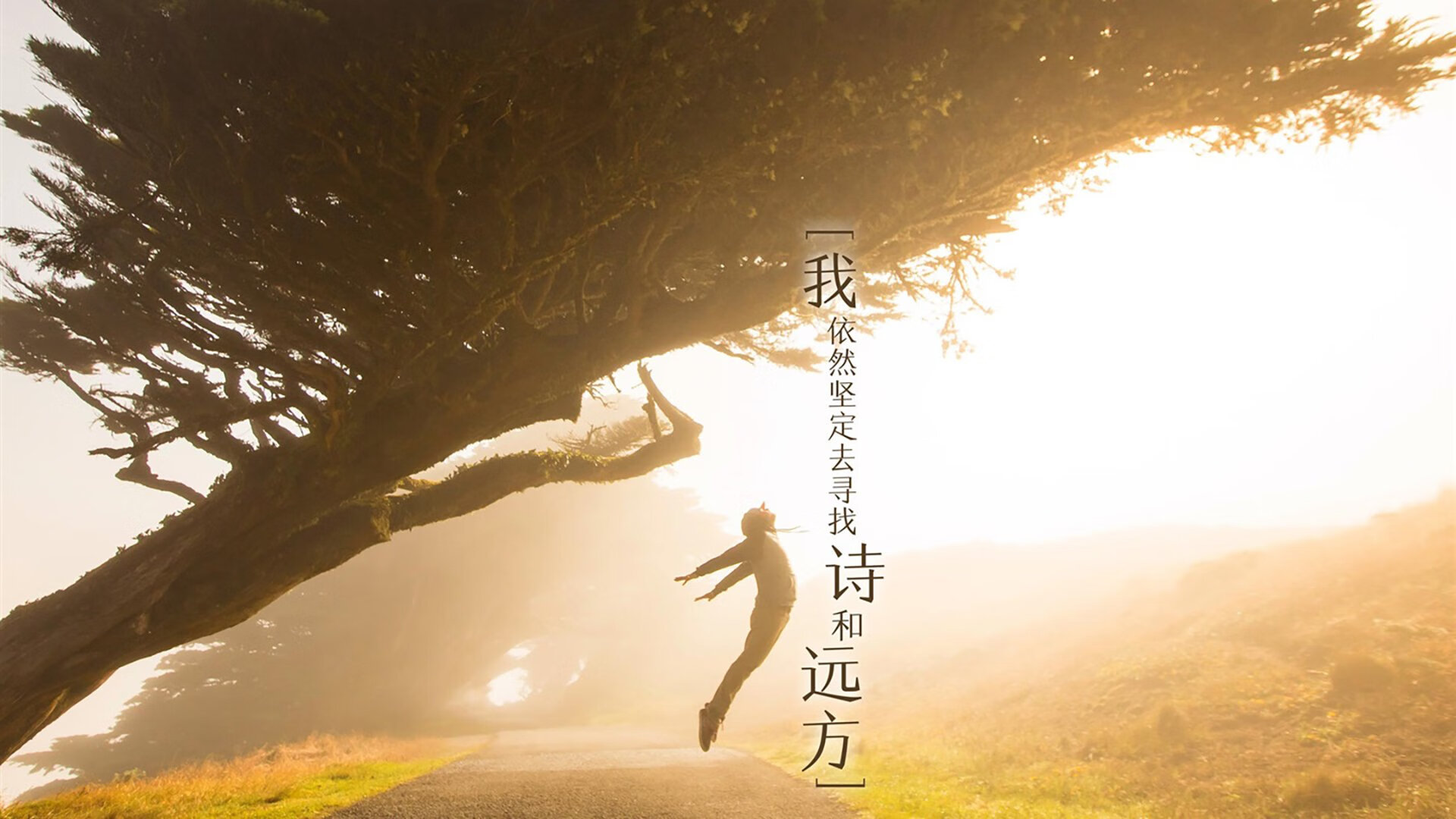 开云体育登录-沙漠风暴席卷北欧童话，阿联酋力克丹麦，德布劳内以一人之力定义2026世界杯B组最冷一夜